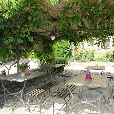 Linearis A By Interhome Appartamento *
